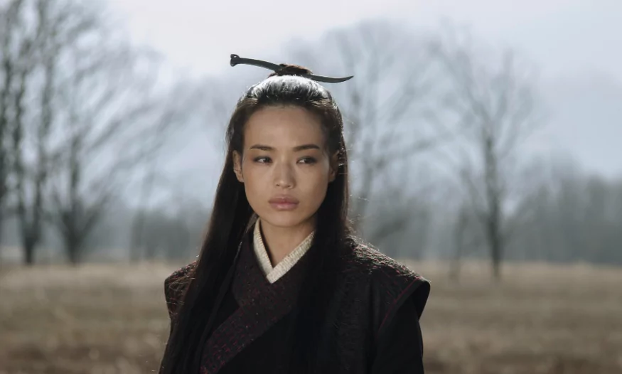The Assassin - Plein Air, Outdoor (L’heure d’été 2026 : Taipei Film Festival)